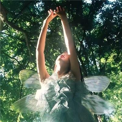 一个船夫的故事